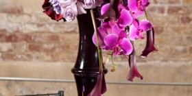 Feature Friday: Lush Purple